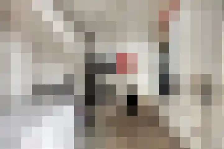 Laan van Nieuw Blankenburg 254 Rozenburg thumbnail 23