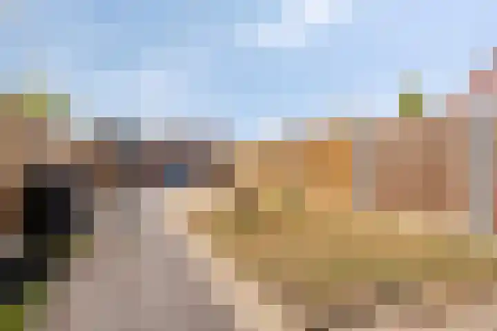Laan van Nieuw Blankenburg 254 Rozenburg thumbnail 24
