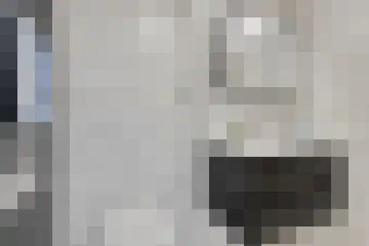 Laan van Nieuw Blankenburg 254 Rozenburg thumbnail 4
