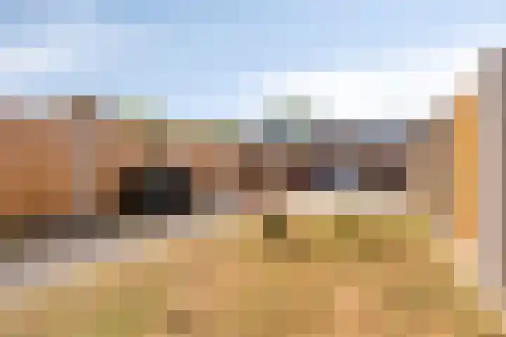 Laan van Nieuw Blankenburg 254 Rozenburg thumbnail 5
