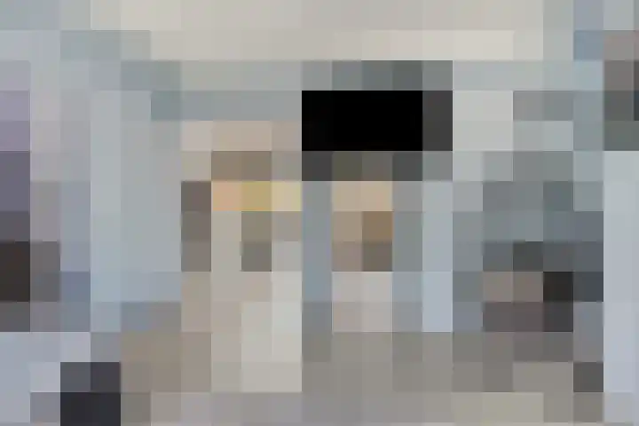 Laan van Nieuw Blankenburg 254 Rozenburg thumbnail 8