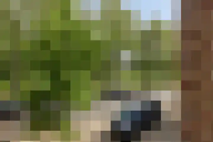Laan van Nieuw Blankenburg 280 Rozenburg thumbnail 20
