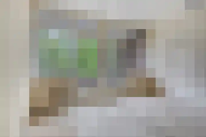 Laan van Nieuw Blankenburg 280 Rozenburg thumbnail 4