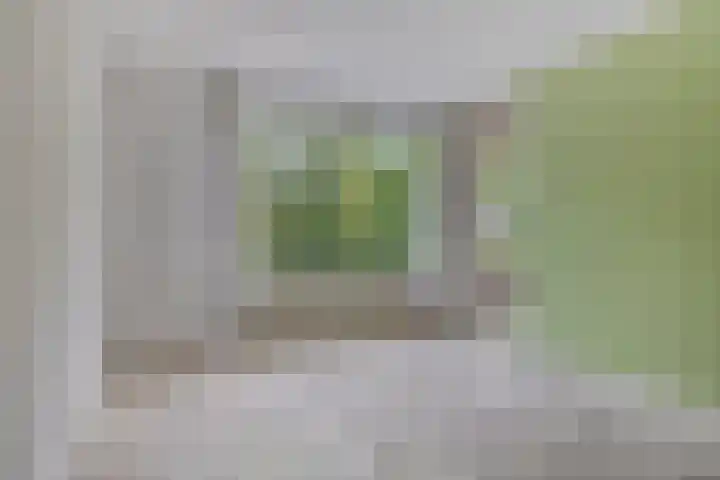 Laan van Nieuw Blankenburg 280 Rozenburg thumbnail 8
