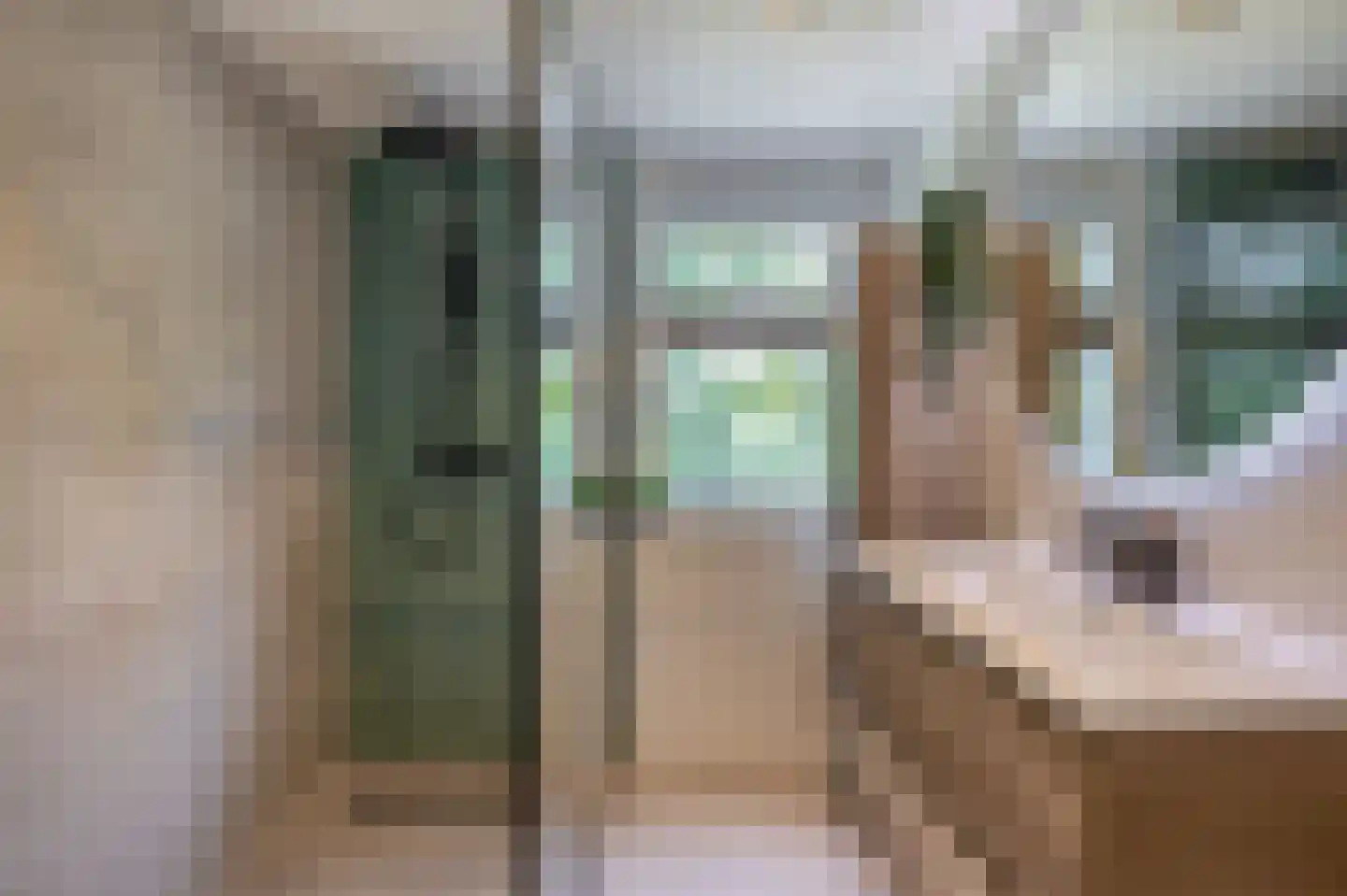 Laan van Nieuw Blankenburg 372 Rozenburg thumbnail 5