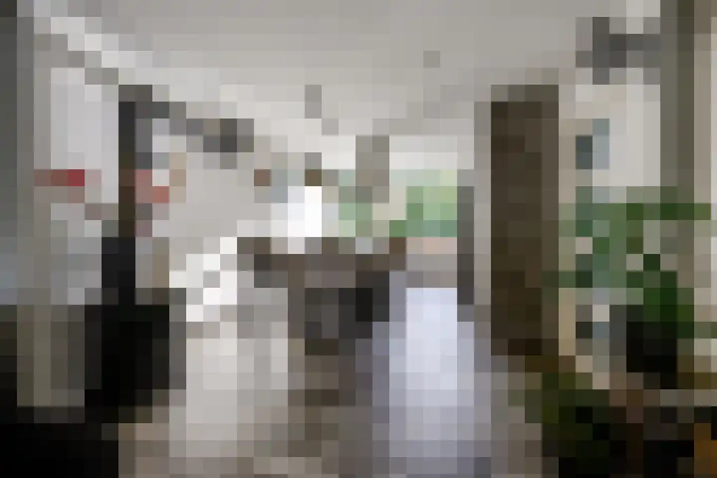 Laan van Nieuw Blankenburg 378 Rozenburg thumbnail 30