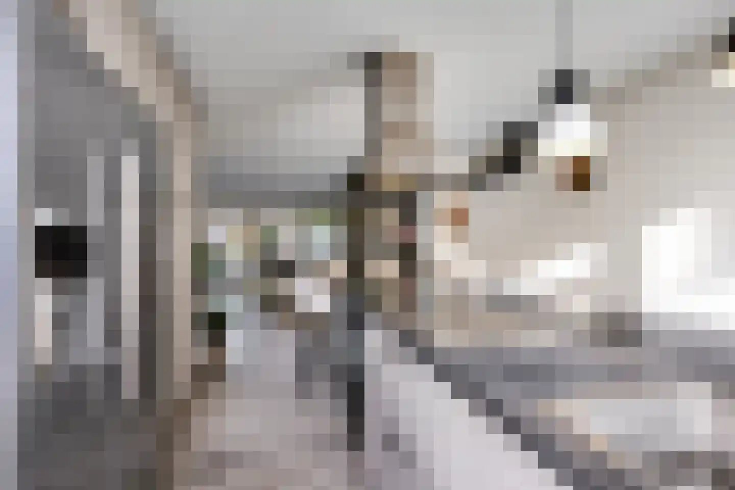 Laan van Nieuw Blankenburg 378 Rozenburg thumbnail 32
