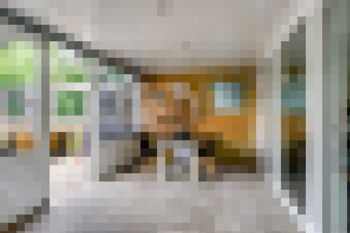 Laan van Nieuw Blankenburg 378 Rozenburg thumbnail 34