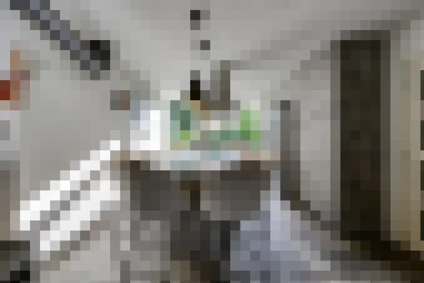 Laan van Nieuw Blankenburg 378 Rozenburg thumbnail 4
