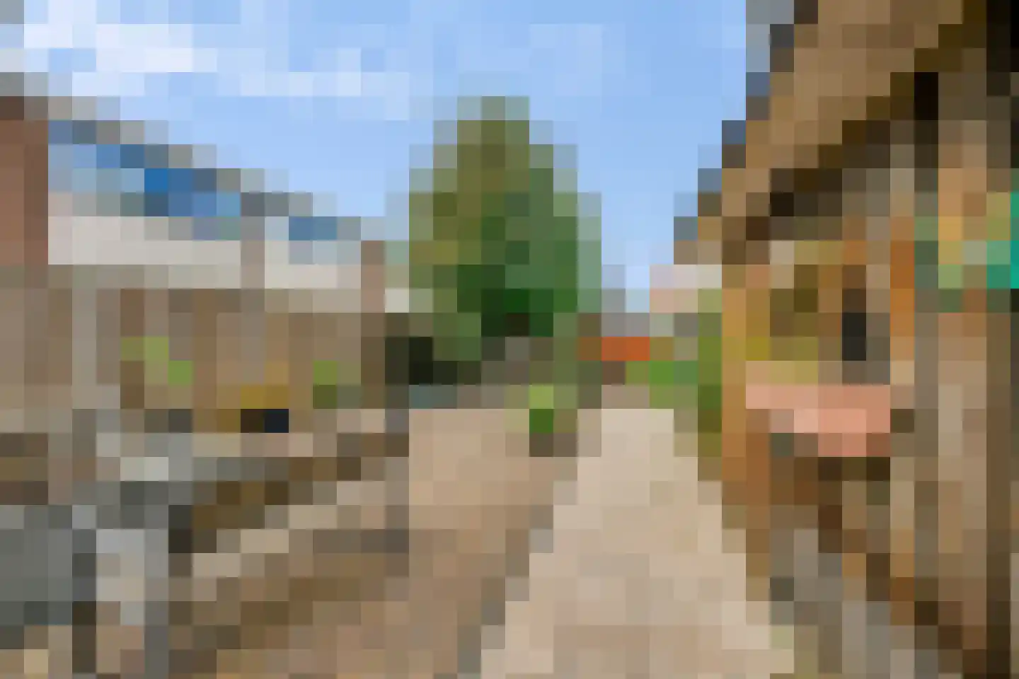 Laan van Nieuw Blankenburg 378 Rozenburg thumbnail 45