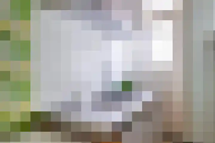 Laan van Nieuw-Guinea 101 BS Utrecht thumbnail 15