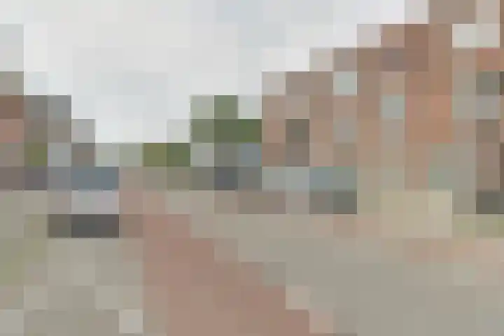 Laan van Nieuw-Guinea 101 BS Utrecht thumbnail 22