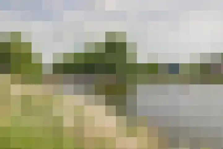 Laan van Nieuw-Guinea 101 BS Utrecht thumbnail 25