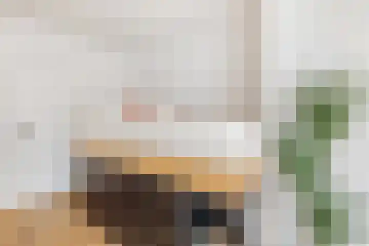 Laan van Nieuw-Guinea 103 Utrecht thumbnail 10