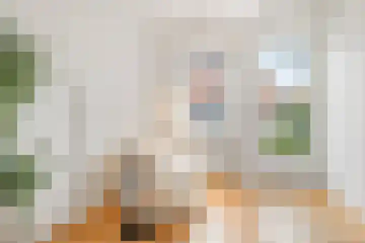 Laan van Nieuw-Guinea 103 Utrecht thumbnail 4