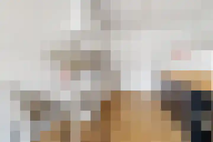 Laan van Nieuw-Guinea 103 Utrecht thumbnail 6
