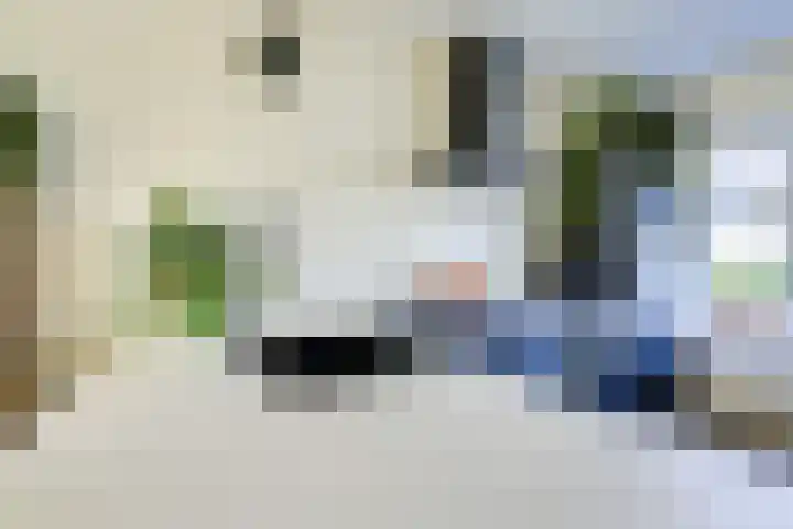 Laan van Nieuw-Guinea 12 BSA Utrecht thumbnail 16