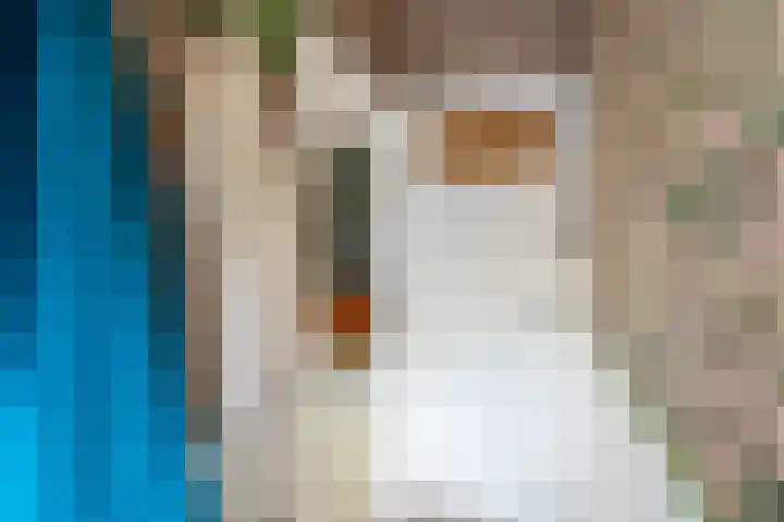 Laan van Nieuw-Guinea 120 Utrecht thumbnail 11