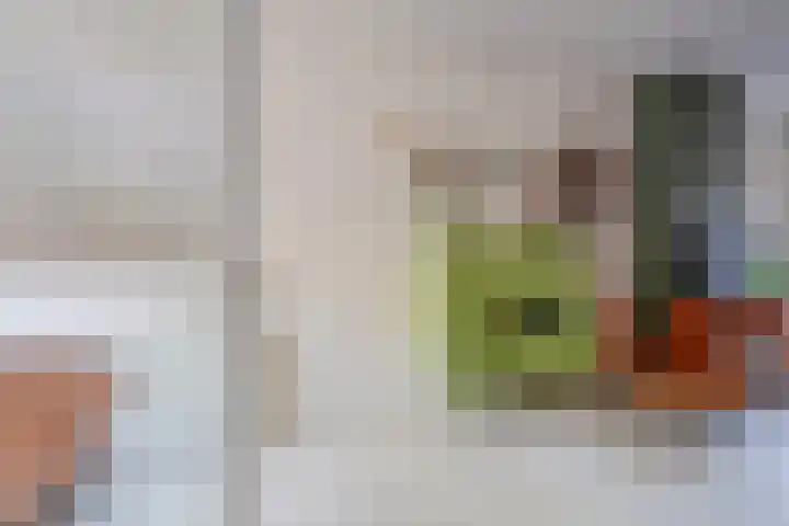 Laan van Nieuw-Guinea 120 Utrecht thumbnail 12