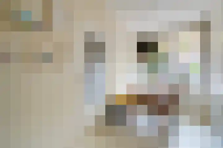 Laan van Nieuw-Guinea 120 Utrecht thumbnail 13