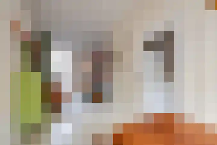 Laan van Nieuw-Guinea 120 Utrecht thumbnail 14