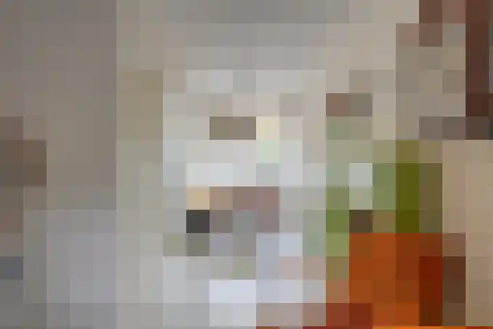 Laan van Nieuw-Guinea 120 Utrecht thumbnail 19