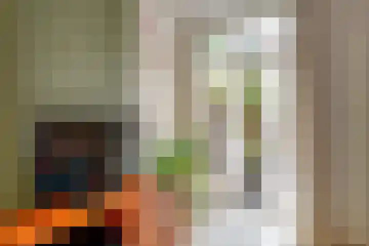 Laan van Nieuw-Guinea 120 Utrecht thumbnail 20