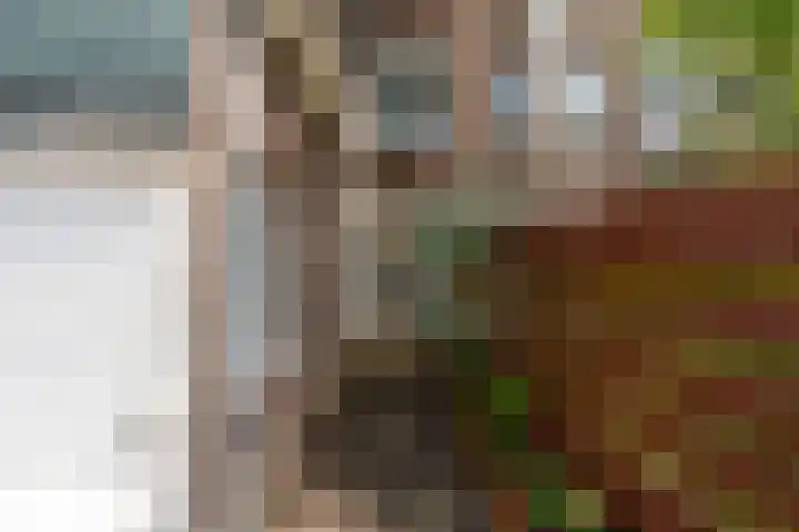 Laan van Nieuw-Guinea 120 Utrecht thumbnail 23