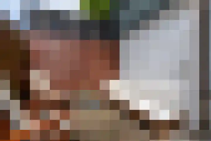 Laan van Nieuw-Guinea 120 Utrecht thumbnail 24
