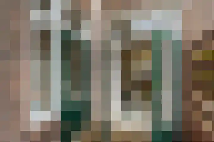 Laan van Nieuw-Guinea 120 Utrecht thumbnail 25