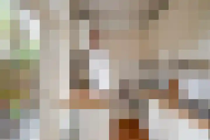 Laan van Nieuw-Guinea 120 Utrecht thumbnail 27