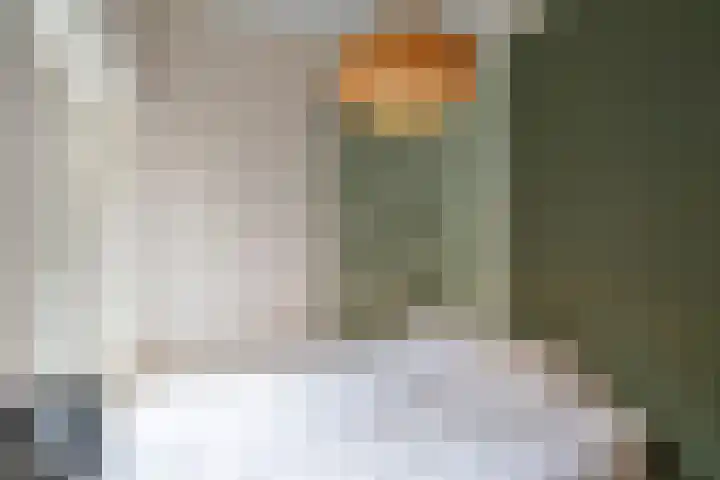 Laan van Nieuw-Guinea 120 Utrecht thumbnail 30