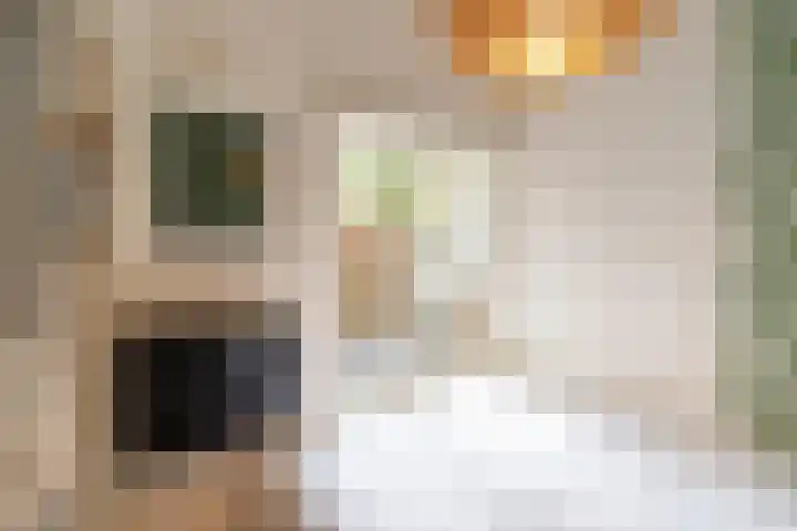 Laan van Nieuw-Guinea 120 Utrecht thumbnail 31