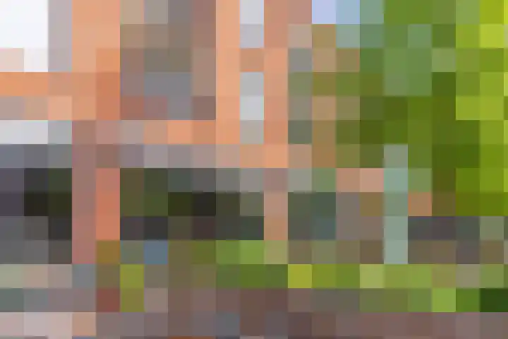 Laan van Nieuw-Guinea 120 Utrecht thumbnail 38