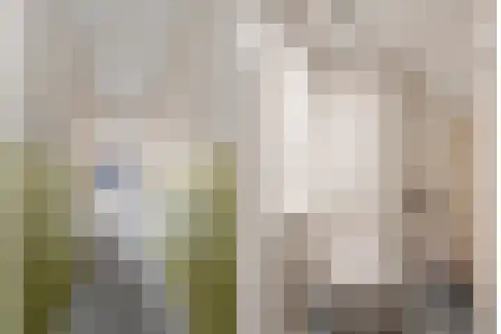 Laan van Nieuw-Guinea 121 Utrecht thumbnail 14