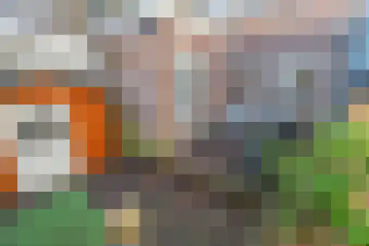 Laan van Nieuw-Guinea 121 Utrecht thumbnail 21