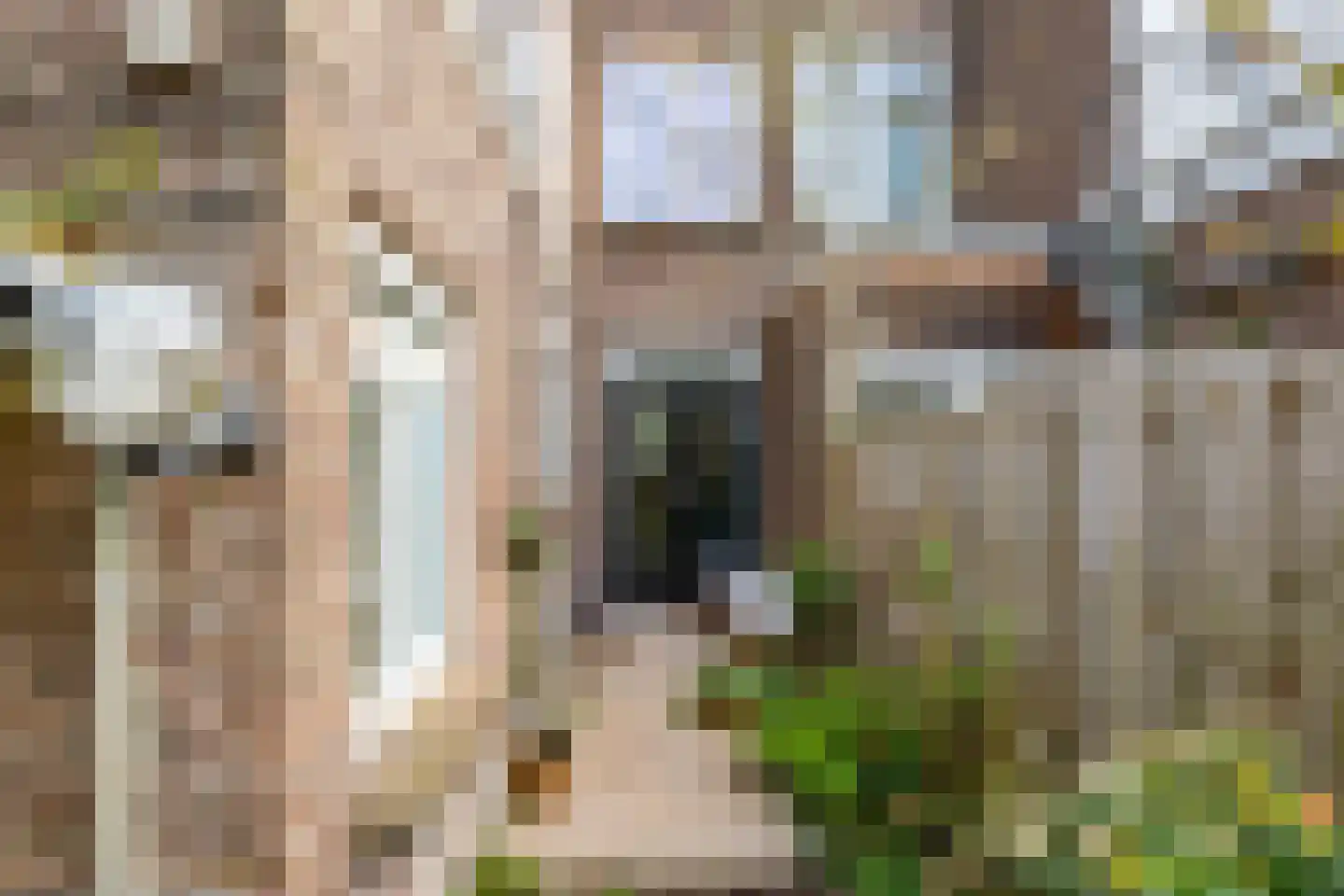 Laan van Nieuw-Guinea 128 Utrecht thumbnail 26