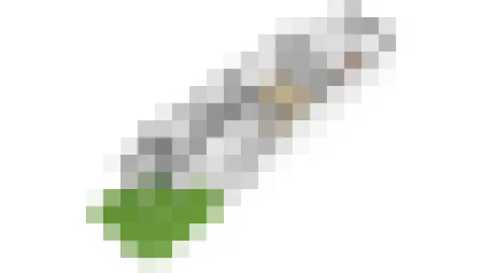 Laan van Nieuw-Guinea 128 Utrecht thumbnail 29