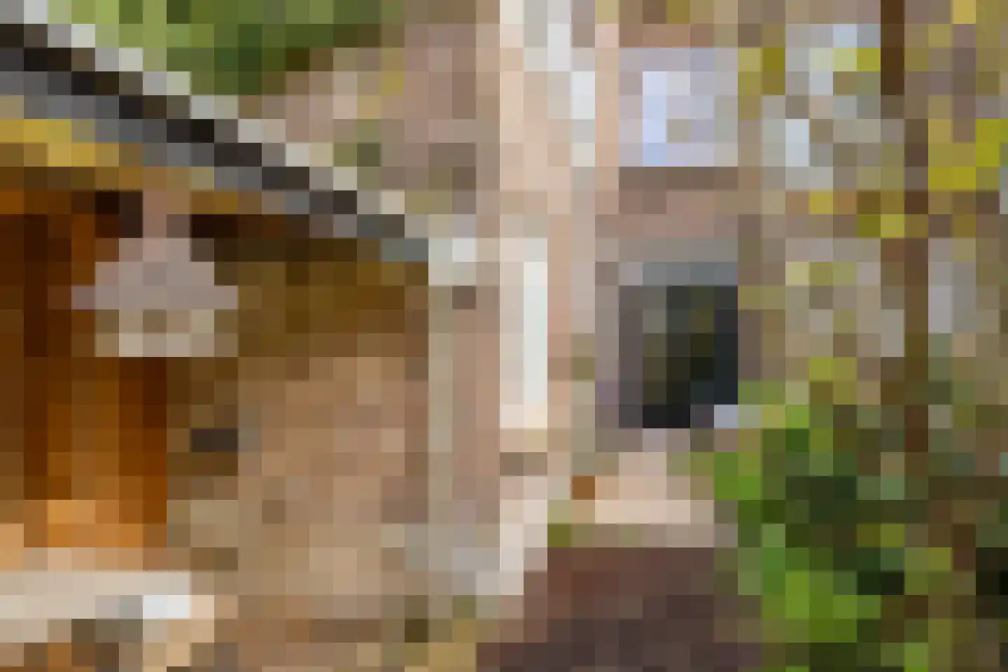 Laan van Nieuw-Guinea 128 Utrecht thumbnail 6