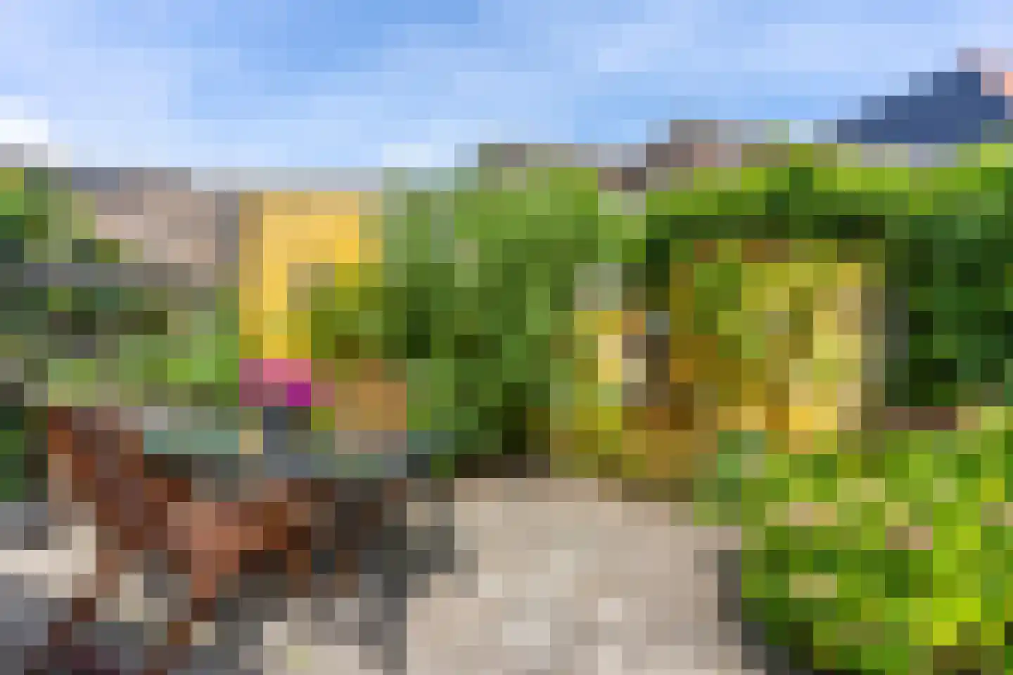 Laan van Nieuw-Guinea 131 Utrecht thumbnail 18