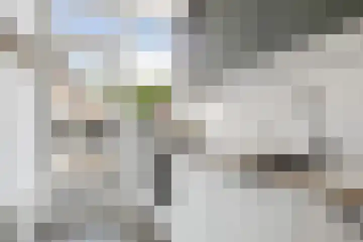 Laan van Nieuw-Guinea 14 BS Utrecht thumbnail 13