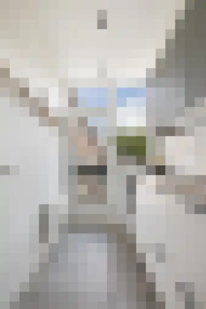 Laan van Nieuw-Guinea 14 BS Utrecht thumbnail 15