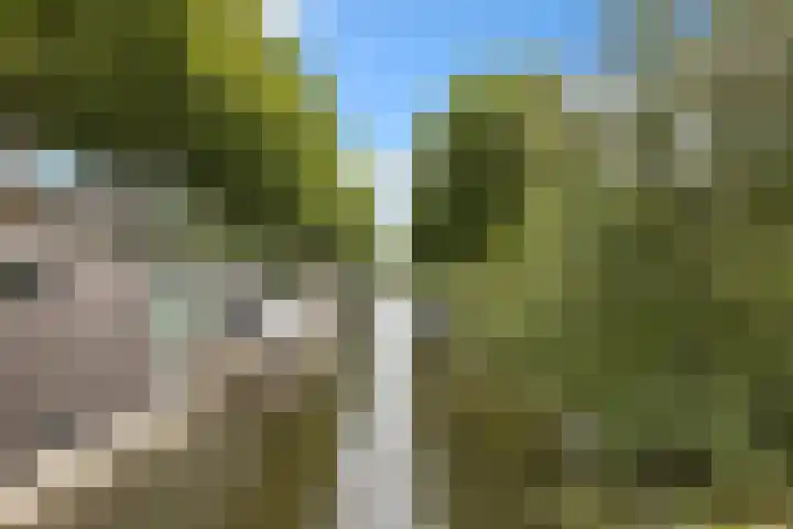Laan van Nieuw-Guinea 14 BS Utrecht thumbnail 35