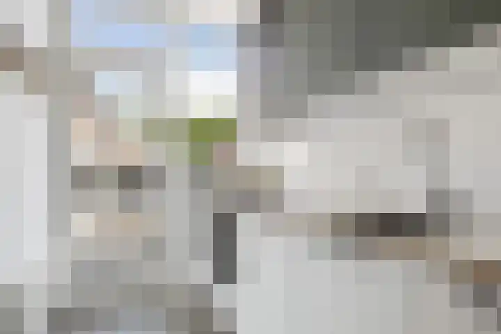 Laan van Nieuw-Guinea 14 BS Utrecht thumbnail 4
