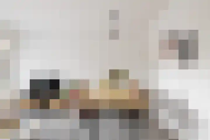 Laan van Nieuw-Guinea 14 BS Utrecht thumbnail 8