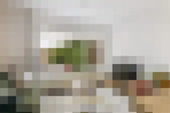 Laan van Nieuw-Guinea 14 BS Utrecht thumbnail 9