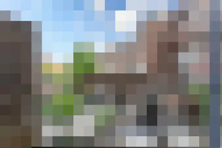 Laan van Nieuw-Guinea 143 BS Utrecht thumbnail 7