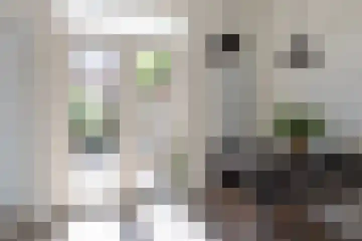 Laan van Nieuw-Guinea 26 Utrecht thumbnail 19