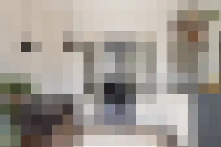 Laan van Nieuw-Guinea 26 Utrecht thumbnail 25
