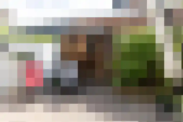 Laan van Nieuw-Guinea 26 Utrecht thumbnail 29
